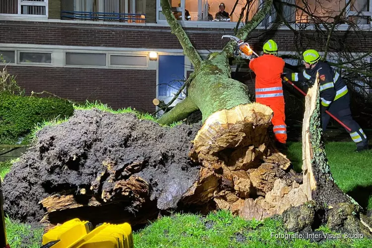 Brandweer handen vol aan Ciara, veruit meeste stormmeldingen in Amsterdam