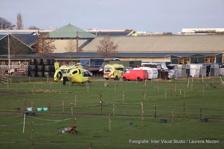 Persoon krijgt trap van paard op manege in Aalsmeer