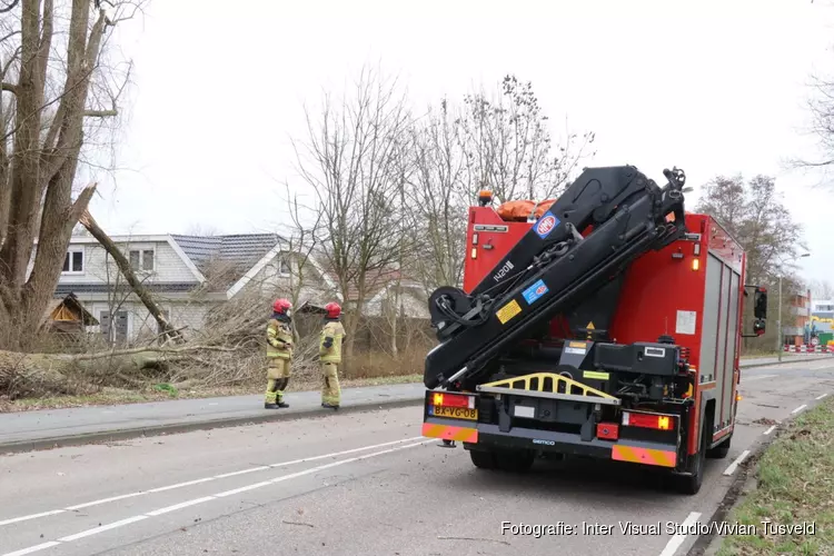Woning in Amstelveen loopt lichte schade op door omgevallen boom