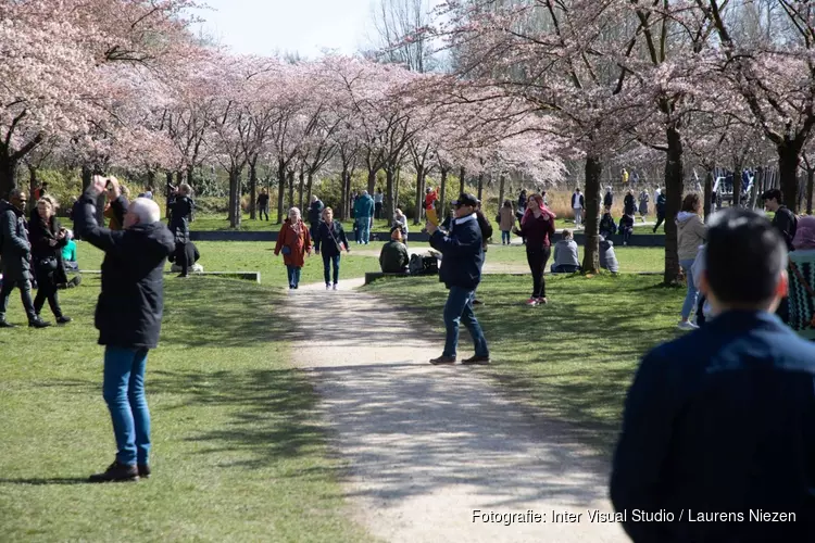 Drukte in Bloesempark Amstelveen