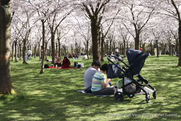 Drukte neemt toe in Bloesempark (Amsterdamse Bos)