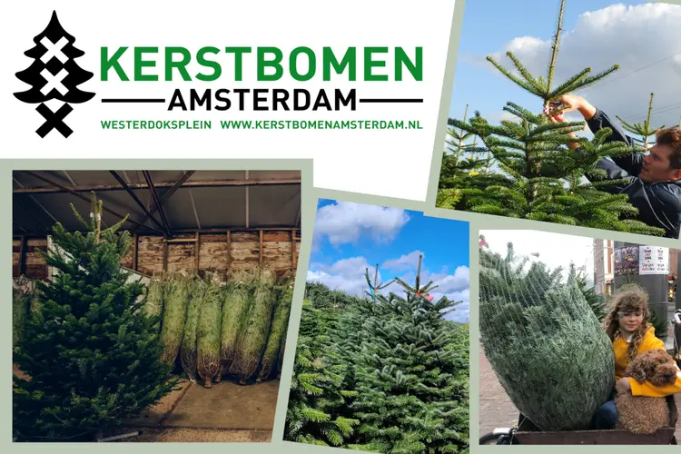 Kerstboom Bezorgd en Opgehaald in Amstelveen met Kerstbomen Amsterdam