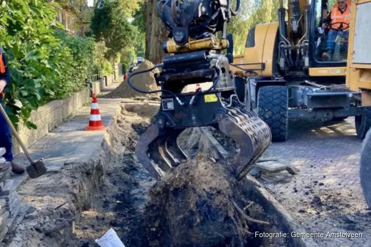 Start kappen en snoeien van risicovolle bomen en plant nieuwe bomen