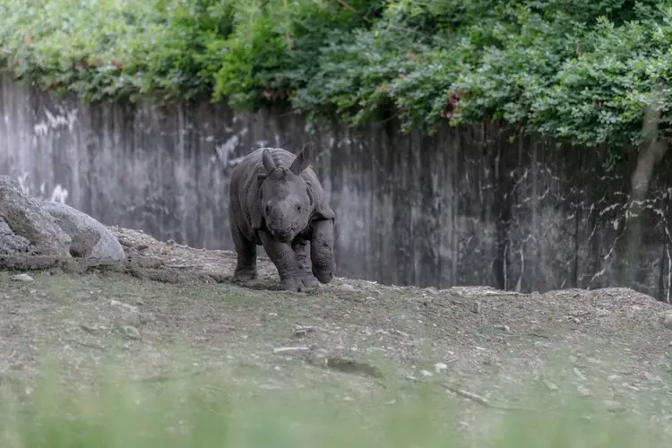 Het dierentuinseizoen: Wanneer begint het en hoe bereid je je voor?