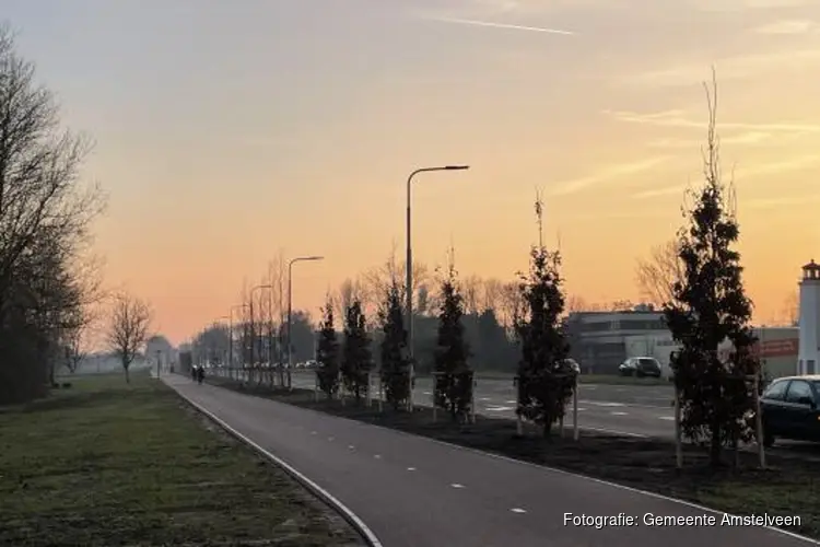 Herstel en beplanting van de Bovenkerkerweg